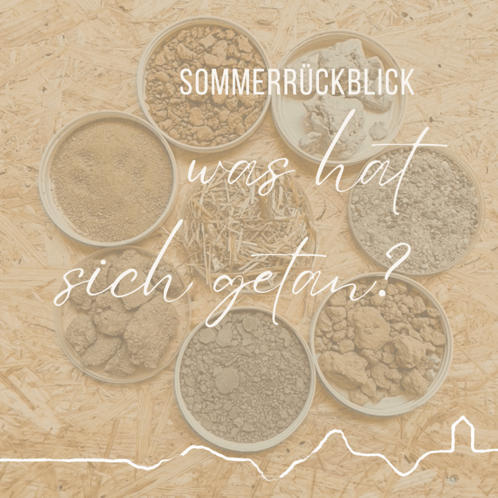 Sommer-Rückblick